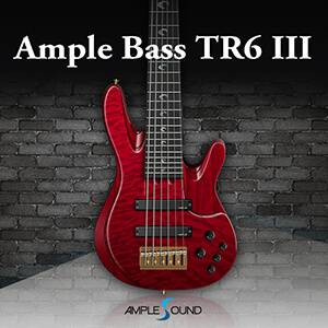 AMPLE BASS TR6 III