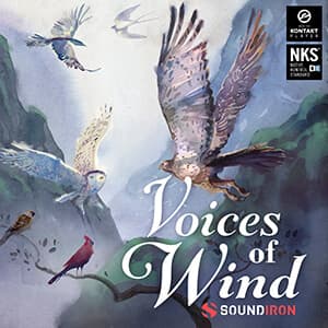 SOUNDIRON VOICE OF WIND: COLLECTION